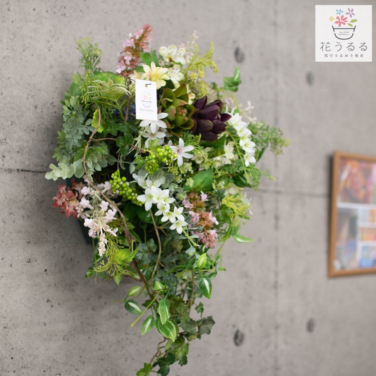 ���ޤ����ʪ�β֤����󤻿����� �����ƥ��ե������ե� (¤��)��24c��