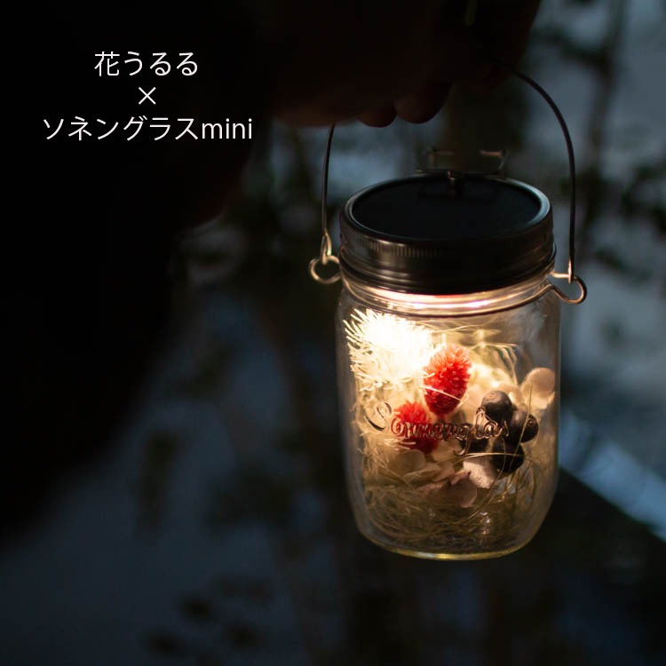 ¨ȯ ץ쥼 ͥ󥰥饹߲֤ڥ٥꡼miniŹ(ݾڽ 250ml 󥿥 led 顼 ż ɺ ҳ ƥꥢ ץ쥼 ۽ˤ 饤   եե   ɥ饤ե  Ϸ