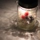 ¨ȯ ץ쥼 ͥ󥰥饹߲֤ڥ٥꡼miniŹ(ݾڽ 250ml 󥿥 led 顼 ż ɺ ҳ ƥꥢ ץ쥼 ۽ˤ 饤   եե   ɥ饤ե  Ϸ