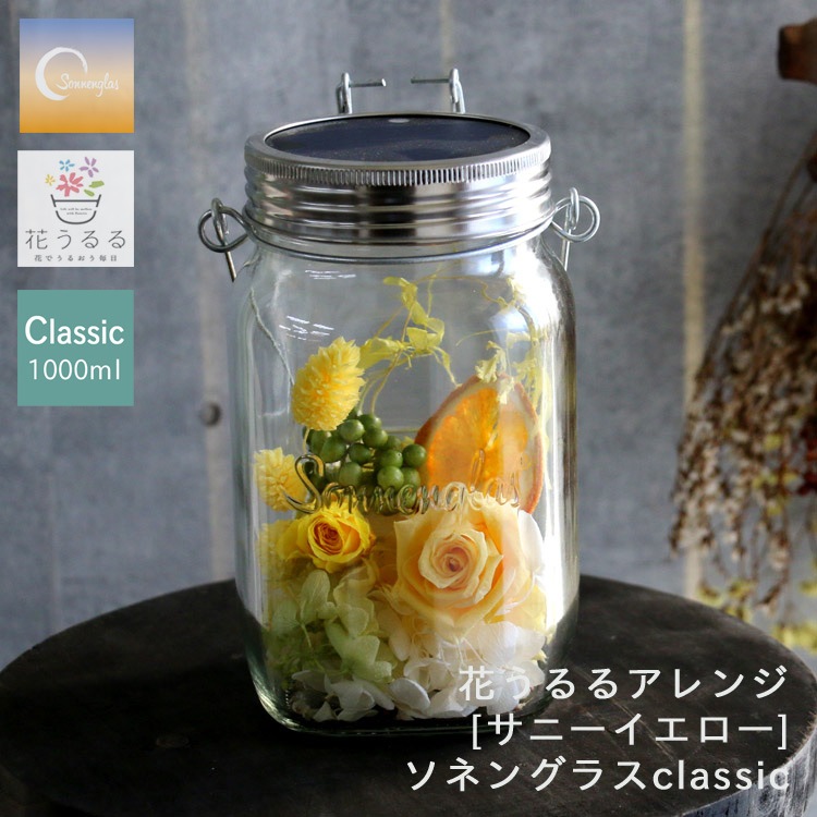 ¨ȯ ץ쥼 ͥ󥰥饹߲֤ڥˡŹ(ݾڽ 1000ml 󥿥 led 顼 ż ɺ ҳ ƥꥢ ץ쥼 ۽ˤ 饤   եե   ɥ饤ե  Ϸ