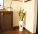 ���տ�ʪ ���󥹥٥ꥢ7����ƫ��ȭ �⤵��100cm ���󥻥٥ꥢ �ȥ�Υ���sans07-00123��