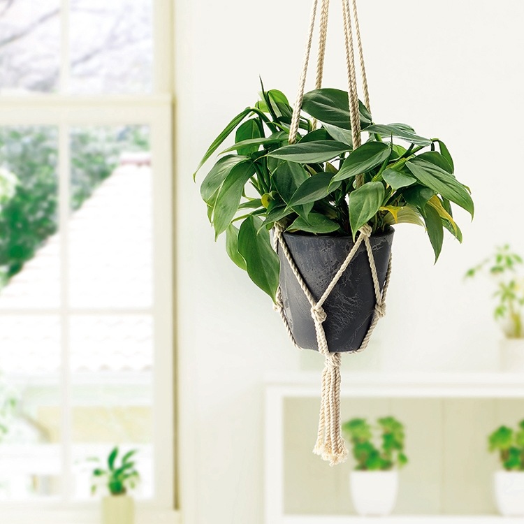 �ܥ��ˡ� �ϥ󥮥� �ݥå� 15��