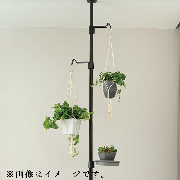 �ܥ��ˡ� �ϥ󥮥� �ݥå� 15��