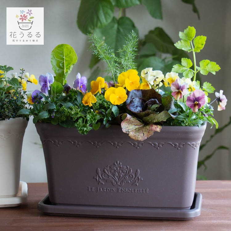 �����٤��󤻿��������ǥ��֥�ե�[�ӥ���ȥ��å���ϡ��֤� ����� �ץ�󥿡� �֤���� �󤻿��� ��������] ���� �ϡ��� ���Ѳ� ���� �ե����ե� �����ڱ� ���ݥ��å� ������ �ץ쥼��� �� �� ȭ���� �� �����ǥ˥� ���� ���ե� ���� ���� ���� 2�� 3��