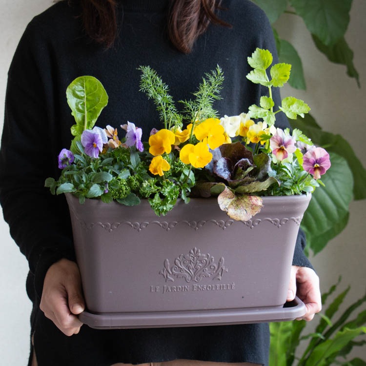 �����٤��󤻿��������ǥ��֥�ե�[�ӥ���ȥ��å���ϡ��֤� ����� �ץ�󥿡� �֤���� �󤻿��� ��������] ���� �ϡ��� ���Ѳ� ���� �ե����ե� �����ڱ� ���ݥ��å� ������ �ץ쥼��� �� �� ȭ���� �� �����ǥ˥� ���� ���ե� ���� ���� ���� 2�� 3��