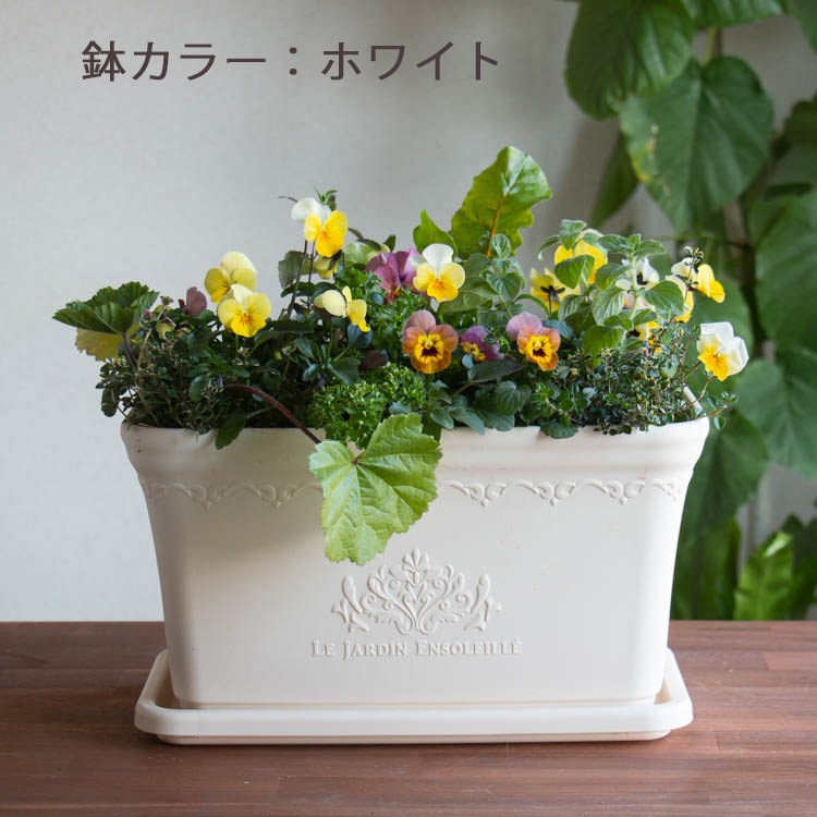 �����٤��󤻿��������ǥ��֥�ե�[�ӥ���ȥ��å���ϡ��֤� ����� �ץ�󥿡� �֤���� �󤻿��� ��������] ���� �ϡ��� ���Ѳ� ���� �ե����ե� �����ڱ� ���ݥ��å� ������ �ץ쥼��� �� �� ȭ���� �� �����ǥ˥� ���� ���ե� ���� ���� ���� 2�� 3��