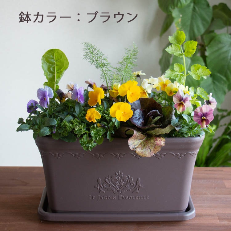 �����٤��󤻿��������ǥ��֥�ե�[�ӥ���ȥ��å���ϡ��֤� ����� �ץ�󥿡� �֤���� �󤻿��� ��������] ���� �ϡ��� ���Ѳ� ���� �ե����ե� �����ڱ� ���ݥ��å� ������ �ץ쥼��� �� �� ȭ���� �� �����ǥ˥� ���� ���ե� ���� ���� ���� 2�� 3��