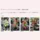 ���Ĥ뤬���ӡ��礭����ġ��ڥ��饤�ߥ󥰥���ѥ饽�� ���طϡ�(10.5cm�ݥå���) 