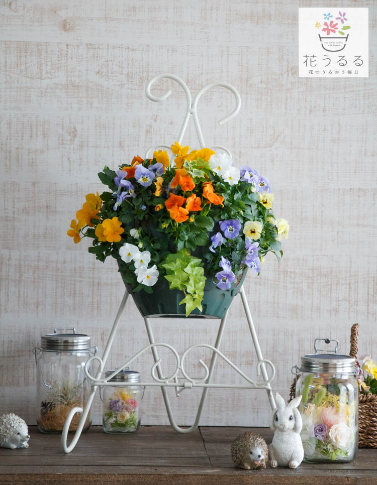 �ӥ���Υϥ󥮥󥰥Х����å� �֤���� �󤻿��� [�ѥԥ��] M������ ����ץ�