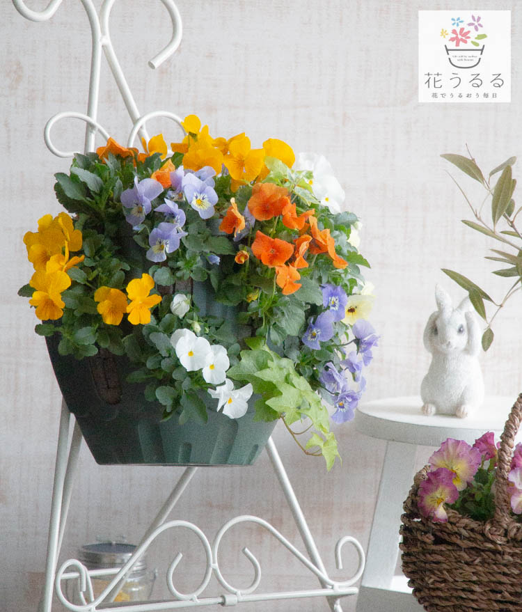 �ӥ���Υϥ󥮥󥰥Х����å� �֤���� �󤻿��� [�ѥԥ��] M������ ����ץ�