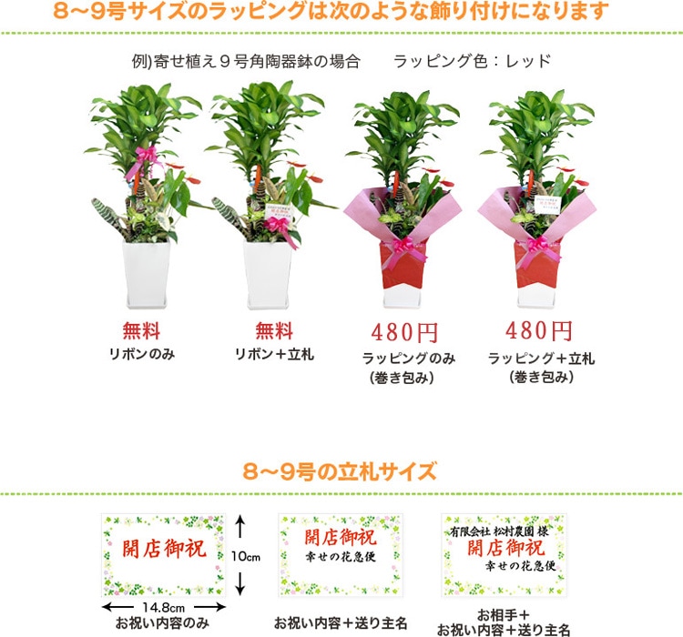 ���տ�ʪ ��ʡ����8��ѥץ饹���å�ȭ �⤵��1.2m �ɥ饻�ʡ��ޥå��󥲥��� ��mass08-005��