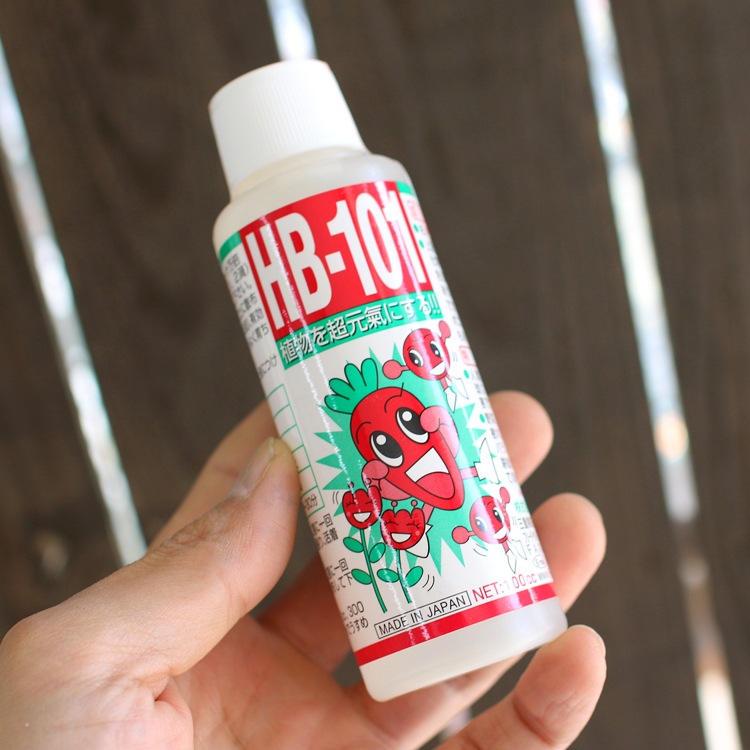 ��ʪ���ߥ�ߥ븵���ˤʤ롪����HB-101 100ml�����ե����� HB-101 ��ʪ���Ϻ� 100cc 