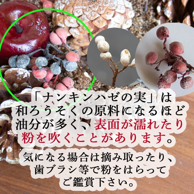 �ڥ��եȥХå����դ��ۥ��ꥹ�ޥ� ���ߡ֥ʥ�����ʥ����� �ĥ꡼ ����å���