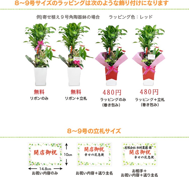 ���տ�ʪ ��å�(��ǯ����)8��ץ饹���å�ȭ(ȭ���С���)�⤵��1.2m��yucc08-006�� 