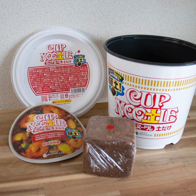 ����ڤΥ���2�ޤ��ޤ�����򤫤���3ʬ �����ڥ��åץ̡��ɥ� �ڤ��� ��5L ���� ������ ���åץ̡��ڥ� ���� �����ڱ� �� �ץ��ȥ꡼�� ���� �鿴�� ���ݥ��å� ���ݥ��å� ��� ���� ��� ��̣ �� ���� ��ͳ���� �� ��� �ѥ����� �֥��å��꡼���ץ饦��