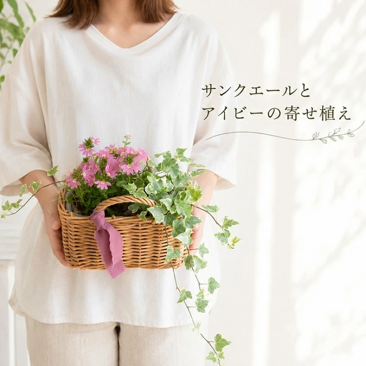����Ĥۤɹ�ڤ˺餯�Ʋ֥Х����åȡ����󥯡�������ȥ����ӡ��δ󤻿��������٤�Х����åȡ�