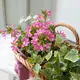 ����Ĥۤɹ�ڤ˺餯�Ʋ֥Х����åȡ����󥯡�������ȥ����ӡ��δ󤻿��������٤�Х����åȡ�