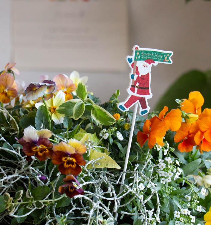 �ڴ󤻿���Ʊ��������̵�����᡼���ؤ�OK�ۥ��ꥹ�ޥ� ����  [���� �ץ졼�� �ԥå� �ե�å� cm1534s ��2���� ���� ���Ρ��ޥ�]