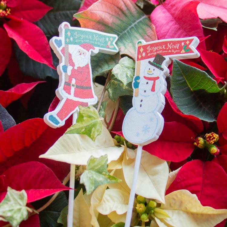 �ڴ󤻿���Ʊ��������̵�����᡼���ؤ�OK�ۥ��ꥹ�ޥ� ����  [���� �ץ졼�� �ԥå� �ե�å� cm1534s ��2���� ���� ���Ρ��ޥ�]