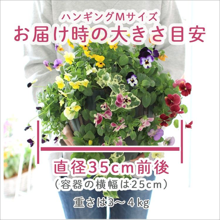 �����̸��꡿���٤��󤻿��� �ɺ���ڥ��ǥ��֥�ե� �ʥǥ����Υϥ󥮥󥰥Х����å� ��M������ ����ץ�