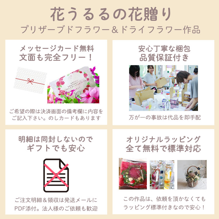 ������̵���ۥץꥶ���֥ɥե� �꡼�������(b23)