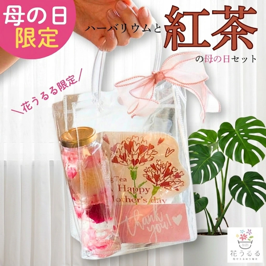 ������� �֤���롿�ڥϡ��Хꥦ��ȹ����