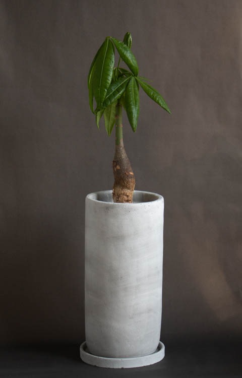 �ѥ���ȭ����(�������դ�)�ڥޥ��ȡ���L��(�ߥ塼��ߥ� murmures ��