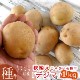 �ǽ����Ԥ������ޥĥ����Τ�ʤ��������ý��� ���㤬���� �磻��֥ǥ��� 1kg��(Ĺ�긩��) [������ʺ�] 