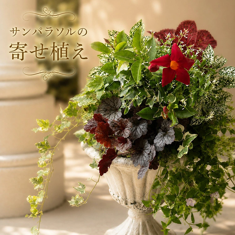 ���Ҥ��ܹ��줹�롢���ʤʲƤΰ�ȭ���ڥ���ѥ饽��δ󤻿����ʥ���ƥ�����Ĵ������ɥ��å�ȭ�ˡۥ��쥬��� ȭ�����٤� ������ �� �� ������ ���ե� �ץ쥼��� ���� ���� �󤻿��� ���å� ȭ���� ������� ������ �٥��� �����ǥ˥� ���ˤ� £��ʪ ����ȥ꡼