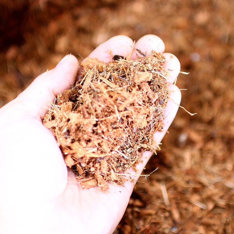 [֤ 5åȥ] ǳߤǽФ ꥸʥ֥  ϥ󥮥󥰥ХåȤ󤻿̤