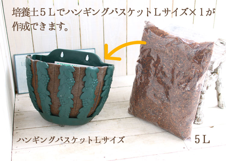 [֤ 5åȥ] ǳߤǽФ ꥸʥ֥  ϥ󥮥󥰥ХåȤ󤻿̤