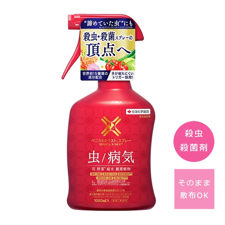 ��ͧ���ر�� �٥˥�X�ͥ����ȥ��ץ졼 1000ml ���� ���ݺ�