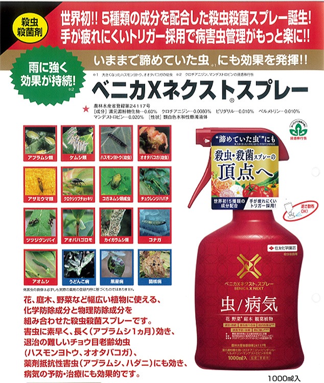 ��ͧ���ر�� �٥˥�X�ͥ����ȥ��ץ졼 1000ml ���� ���ݺ�