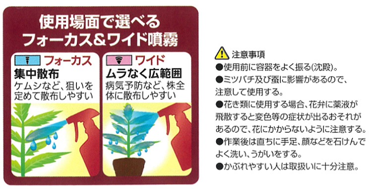 ��ͧ���ر�� �٥˥�X�ͥ����ȥ��ץ졼 1000ml ���� ���ݺ�