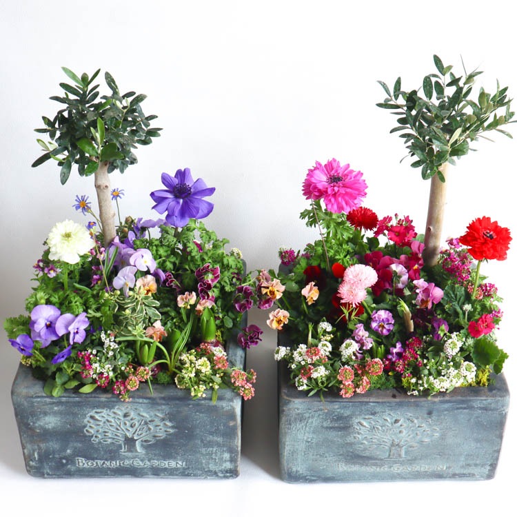 �����̴������꡿�֤���륢��� ���Ԥ�����ƥʴ󤻿����֥ե��쥹�ȥ����ǥ�-���᥸���ȡ�