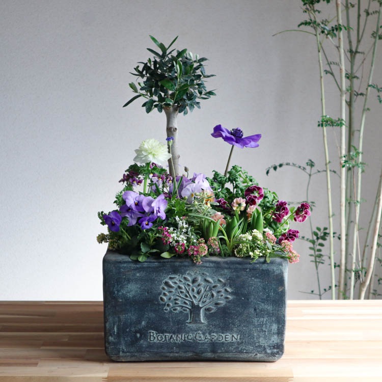 �����̴������꡿�֤���륢��� ���Ԥ�����ƥʴ󤻿����֥ե��쥹�ȥ����ǥ�-���᥸���ȡ�