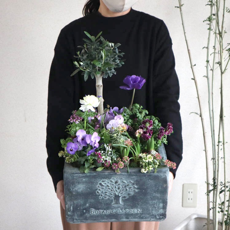 �����̴������꡿�֤���륢��� ���Ԥ�����ƥʴ󤻿����֥ե��쥹�ȥ����ǥ�-���᥸���ȡ�