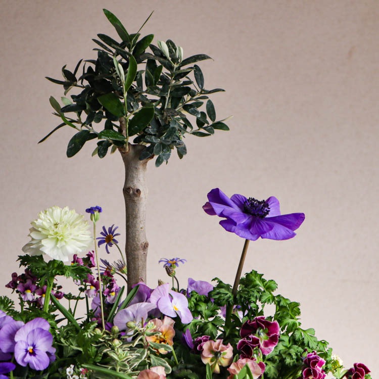 �����̴������꡿�֤���륢��� ���Ԥ�����ƥʴ󤻿����֥ե��쥹�ȥ����ǥ�-���᥸���ȡ�