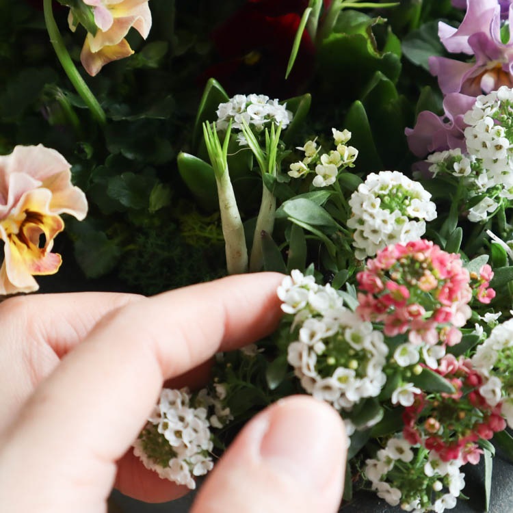 �����̴������꡿�֤���륢��� ���Ԥ�����ƥʴ󤻿����֥ե��쥹�ȥ����ǥ�-���᥸���ȡ�