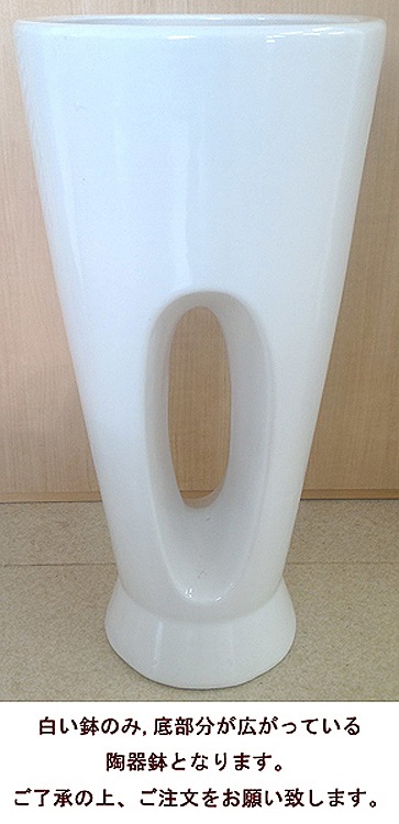 ���տ�ʪ ��ʡ����7���ꤢ��ƫ��ȭ(���ֹ�) �⤵��1.1m �ɥ饻�ʡ��ޥå��󥲥��ʡ�mass07-00678�� 