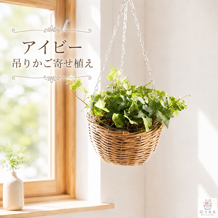 ��1ǯ��ڤ���롿�������Ƥ륢���ӡ����ߤ꤫���󤻿������ߤ겼���饿��Х����åȡˡ�