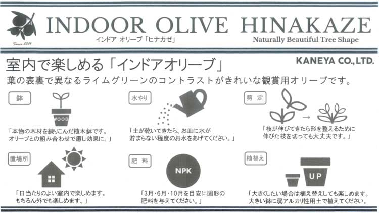 ڥߥ˥꡼֡ۡ ꡼֤ (⤵3045cm٤ȭ 3 