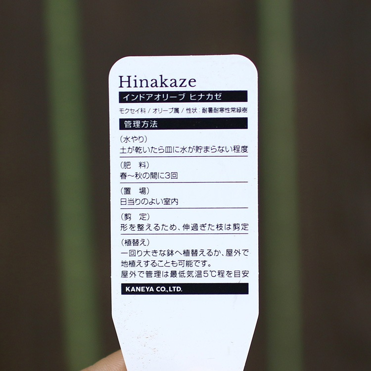 ڥߥ˥꡼֡ۡ ꡼֤ (⤵3045cm٤ȭ 3 