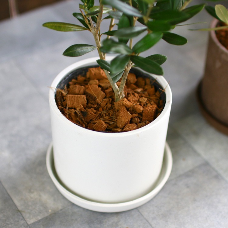 ڥߥ˥꡼֡ۡ ꡼֤ (⤵3045cm٤ȭ 3 