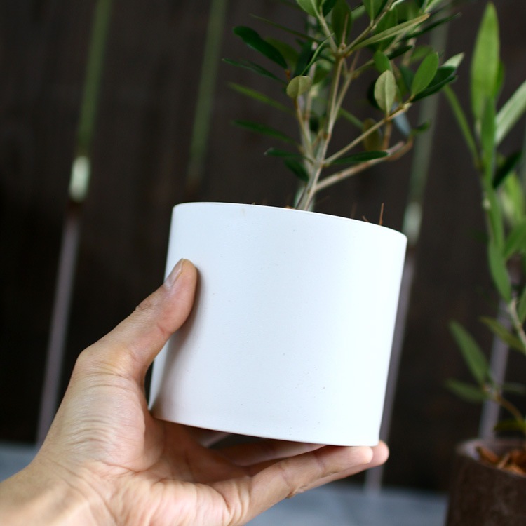 ڥߥ˥꡼֡ۡ ꡼֤ (⤵3045cm٤ȭ 3 