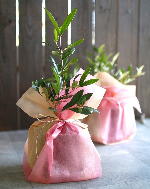 ڥߥ˥꡼֡ۡ ꡼֤ (⤵3045cm٤ȭ 3 