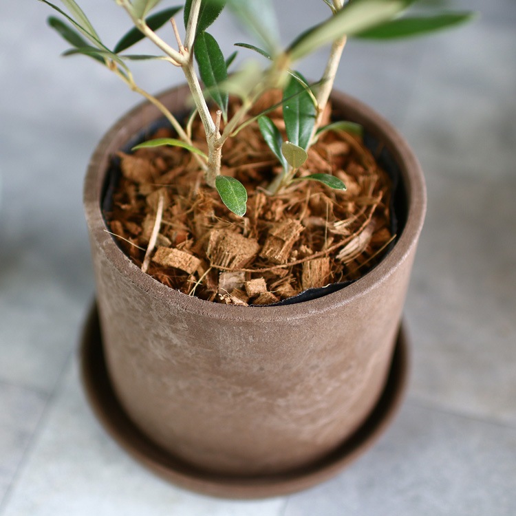 ڥߥ˥꡼֡ۡ ꡼֤ (⤵3045cm٤ȭ 3 