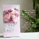 ¨ȯOKץ쥼 ڥ֥åХܡ ץե L(5133)  