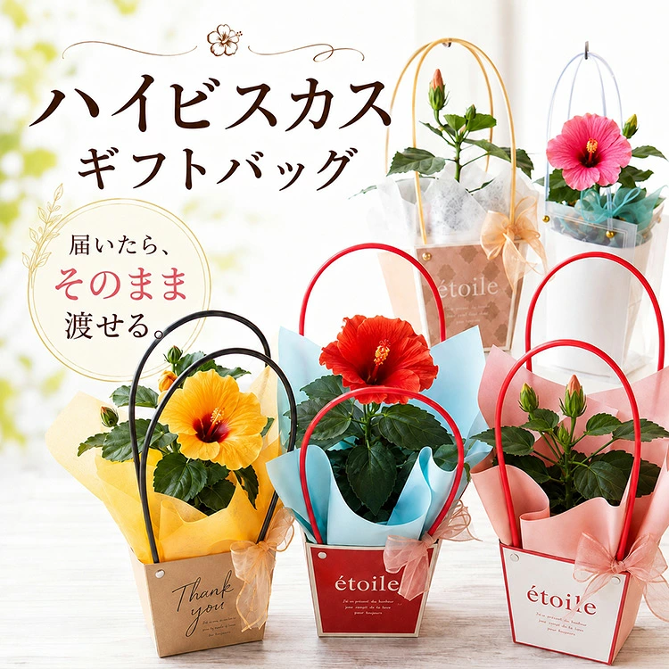���Ϥ��Ƥ��Τޤ��Ϥ��롿�֤���� ���٤륮�եȥХå��ڥ�����ޥ��¿������ ���տ�ʪ ���꡼�� �� ������ ���ե� �ץ쥼��� ��Ϸ ��Ϸ���� 70�� 80�� ���� ���� ���Ф������ ¹���� ������� �İ��� ���� ���� ����ƥꥢ ���ˤ� £��ʪ Ĺ���ˤ� ��Ź�ˤ� ���۽ˤ�