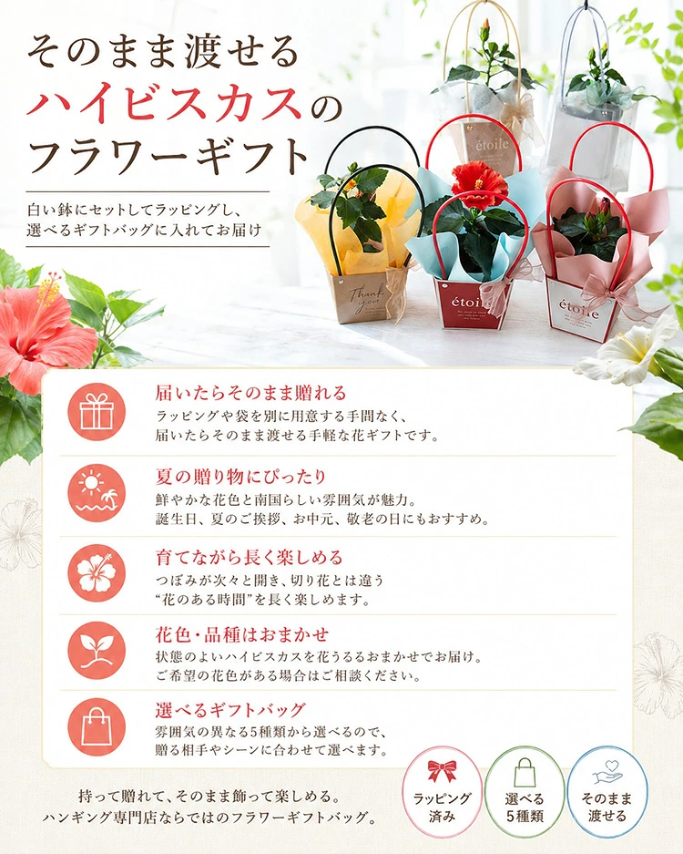 ���Ϥ��Ƥ��Τޤ��Ϥ��롿�֤���� ���٤륮�եȥХå��ڥ�����ޥ��¿������ ���տ�ʪ ���꡼�� �� ������ ���ե� �ץ쥼��� ��Ϸ ��Ϸ���� 70�� 80�� ���� ���� ���Ф������ ¹���� ������� �İ��� ���� ���� ����ƥꥢ ���ˤ� £��ʪ Ĺ���ˤ� ��Ź�ˤ� ���۽ˤ�